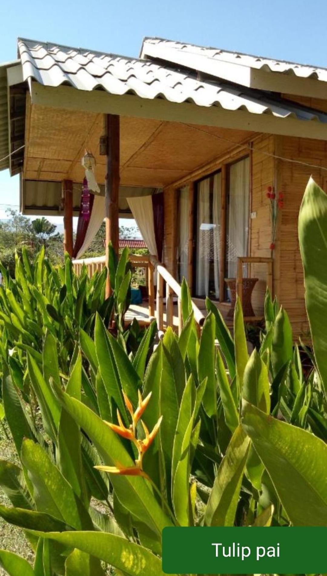 Tulip Resort Pai Εξωτερικό φωτογραφία