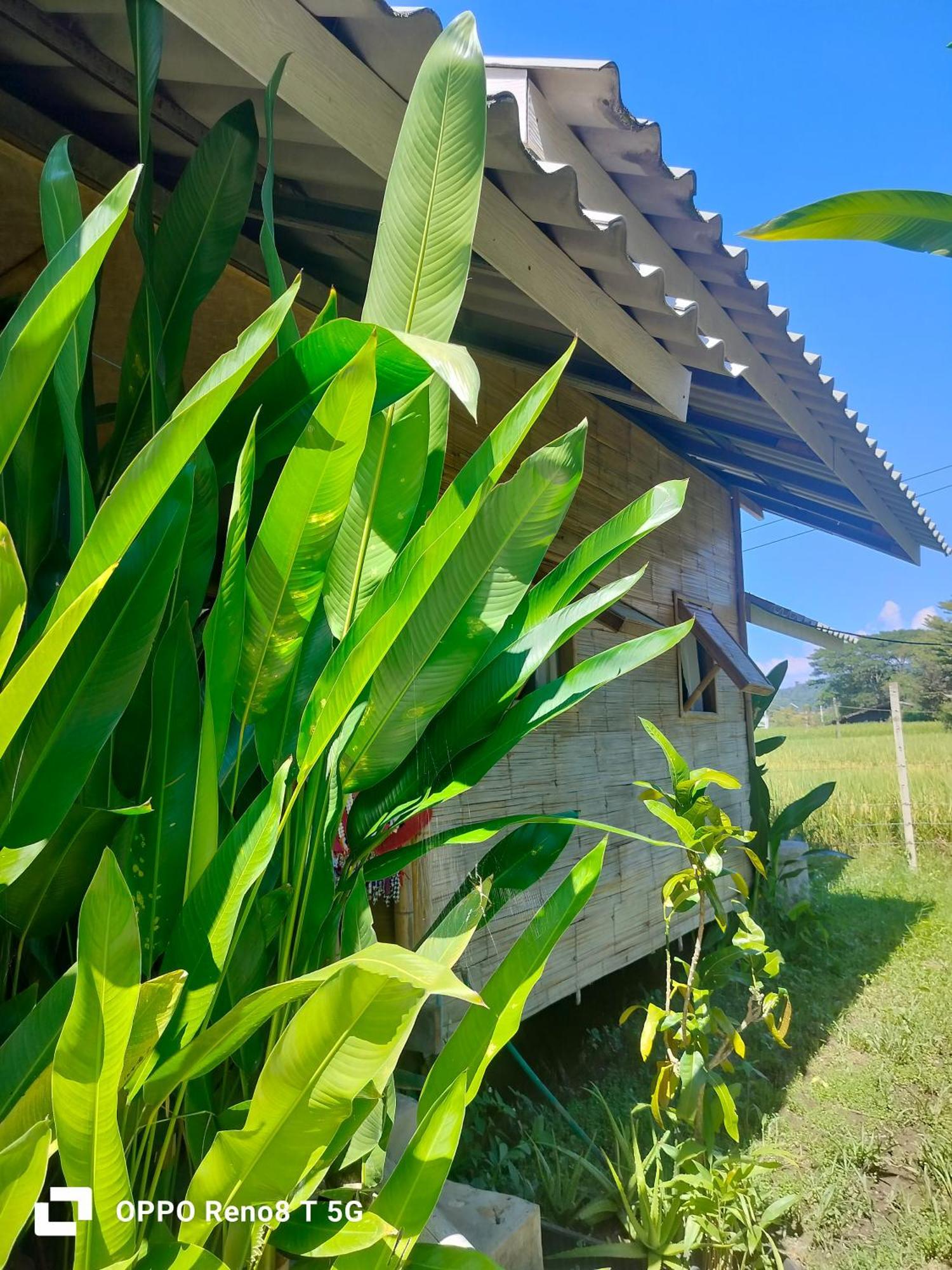 Tulip Resort Pai Δωμάτιο φωτογραφία