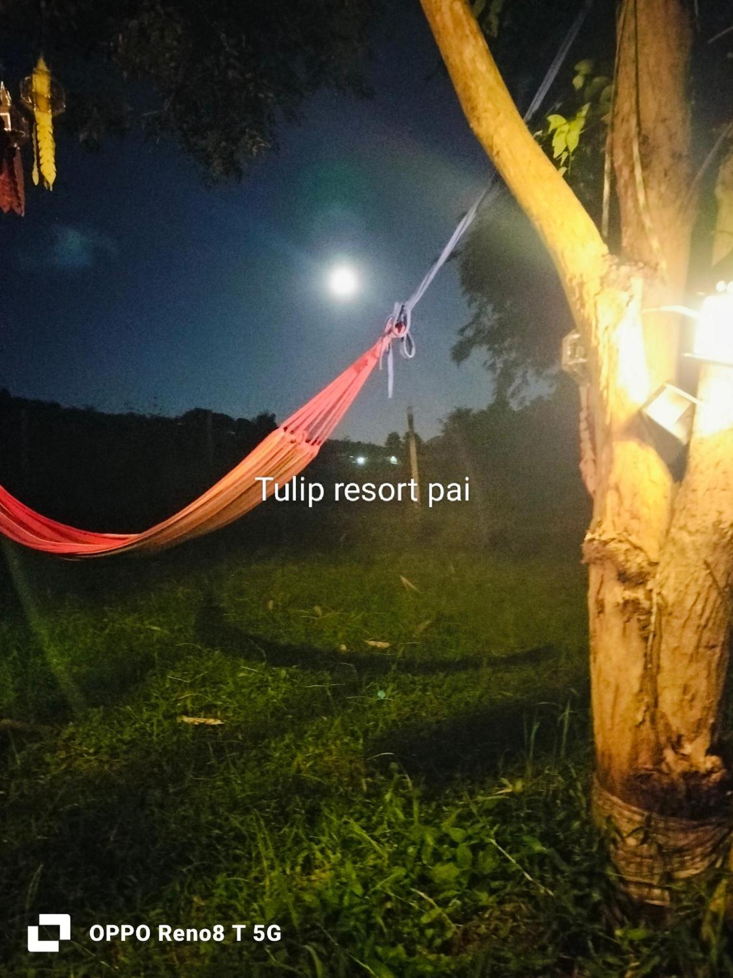 Tulip Resort Pai Δωμάτιο φωτογραφία